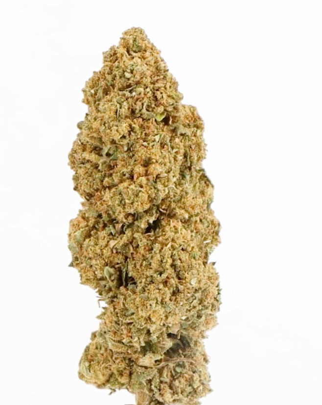 Banana Smash CBD 16% – Fleur Suisse Premium et Fruitée