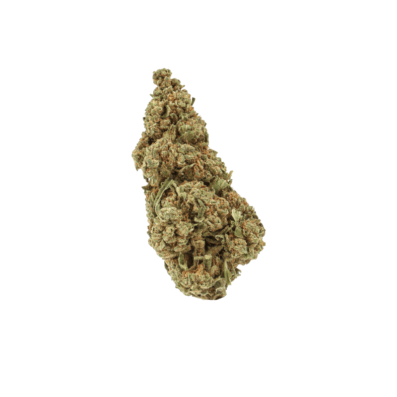 Big Buddha Cheese CBD 15% – Fleur Indoor Premium Suisse