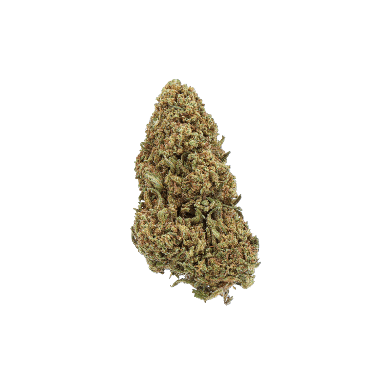Fleur CBD Orange Bud 10% – Greenhouse, Qualité Premium