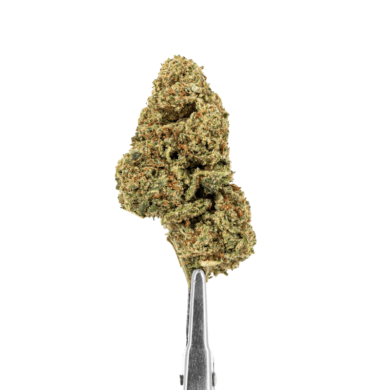 Forbidden Fruits Hydro CBD – Fleur Premium Suisse 15%