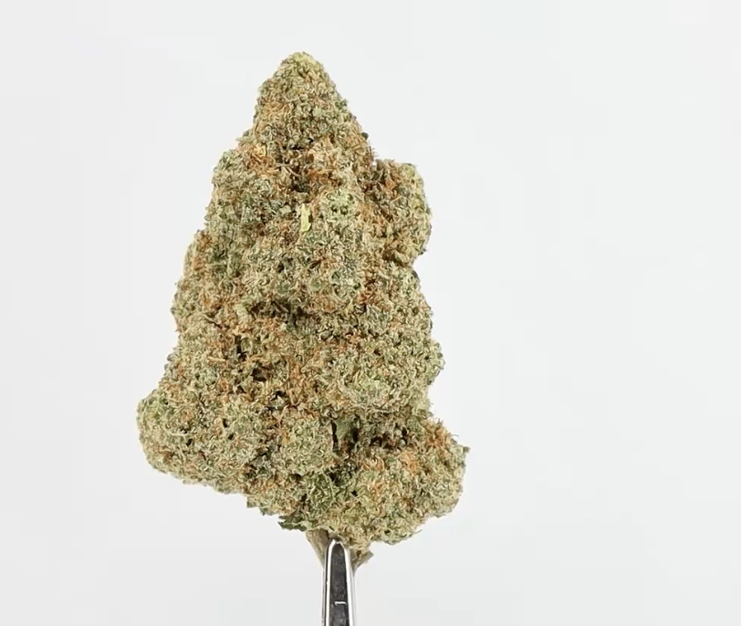 Glookies Hydro CBD 15% – Fleur Premium Suisse Hydroponique