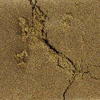 Résine CBD 20% “La Mousse” – Origine France, Relaxation & Bien-être