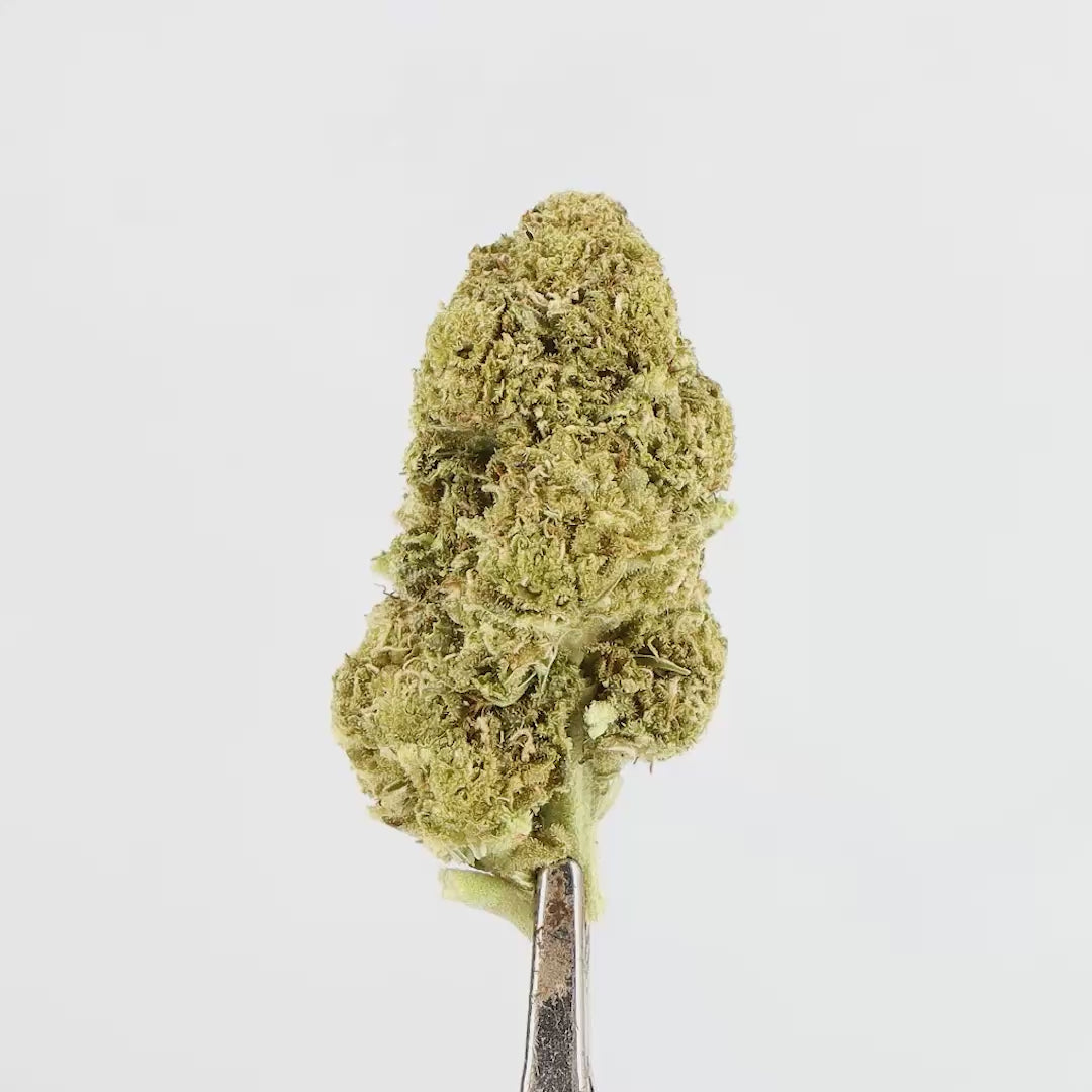 Fleur CBD Green Crack 9% – Greenhouse Uruguay, Saveurs Fruitées & Relaxation