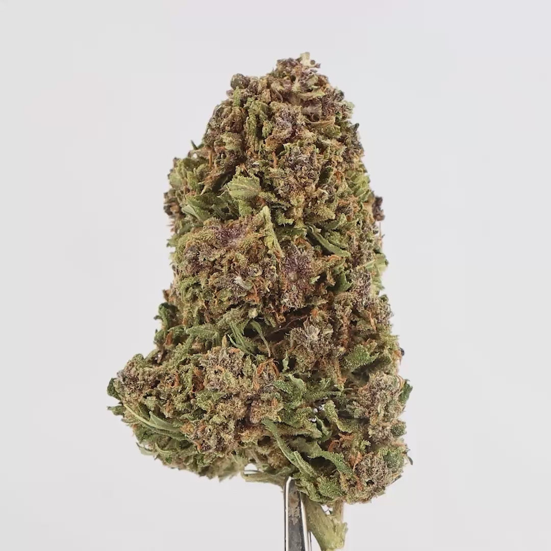 Fleur CBD Cali Pink Indoor 16% – Qualité Premium, Aromatique et Rare