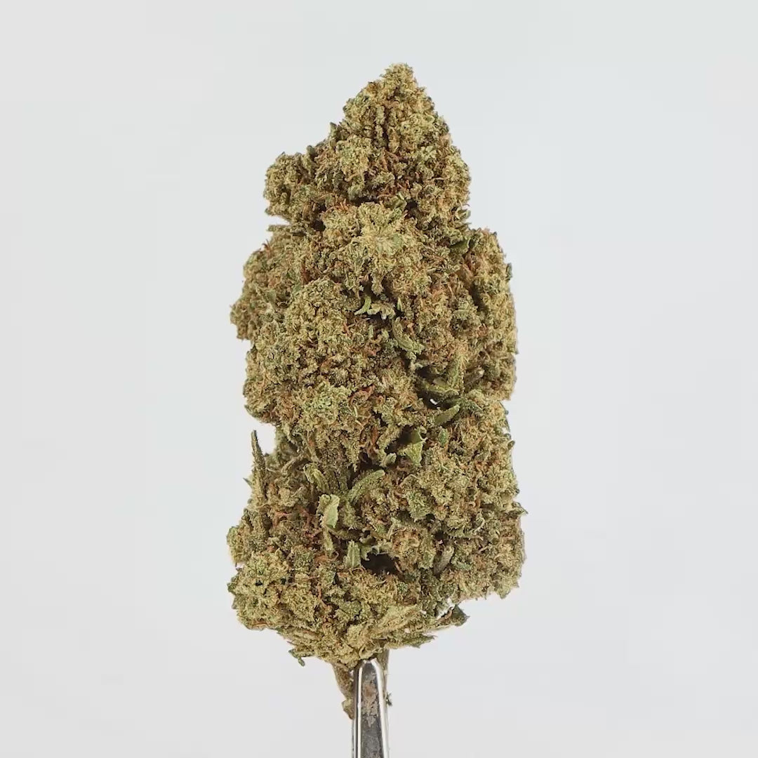 Fleur CBD Cali Dream 14% – Hydroponie, Qualité Premium