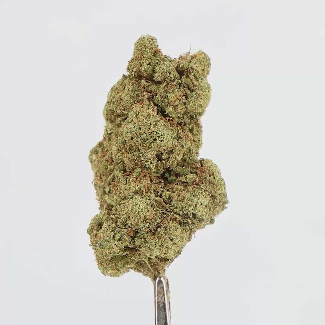 Fleur CBD Lifter US 15% – Hydroponie, Origine Amérique du Sud, Qualité Premium